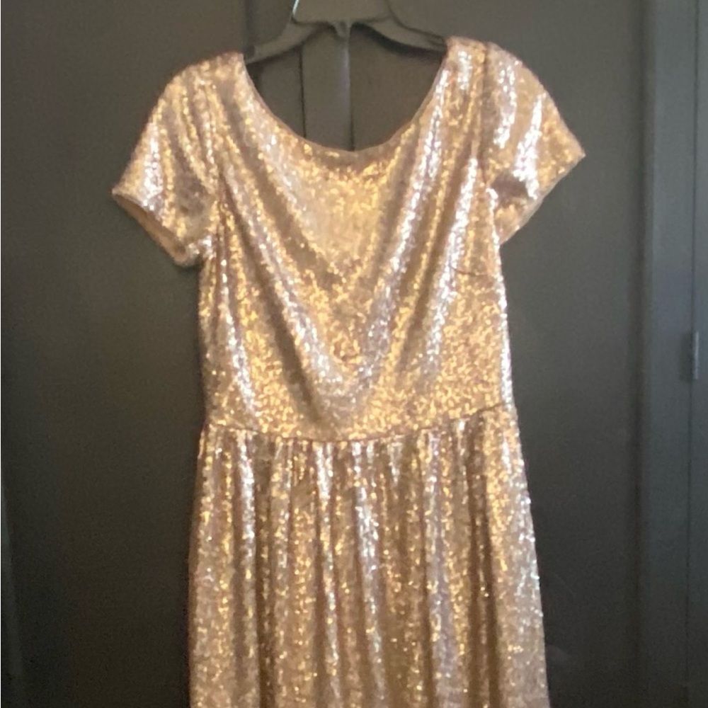 Theia/ matte bronze sequins cap sleeve dress/ size 12